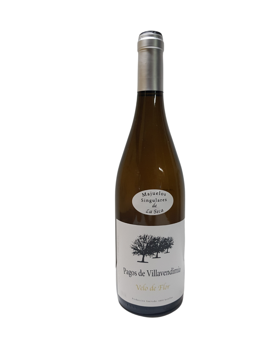 PAGOS DE VILLAVENDIMIA VELO DE FLOR (D.O.RUEDA)